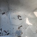 발전카세차장 | 평택 출장세차 중고차 실내크리닝 의자탈거세차 담배냄새제거 3시간 충격 해결