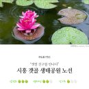 수도권 7코스 : "갯벌 친구를 만나다" 시흥 갯골 생태공원 노선 이미지