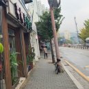 주현동물병원 이미지