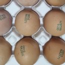 신상농장 2 이미지