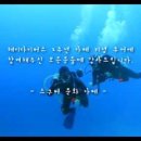 헤이다이버스