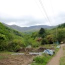 왕소나무민박 이미지