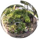 상월농장 이미지