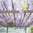 비슬로387길 이미지