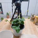 고산초등학교 병설유치원 이미지