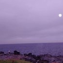 글로리아키즈가족단체 이미지