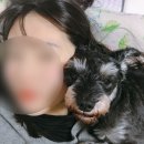 위드미 오산비전탑점 | 남들 행복한 꼴 쳐다보느니 차라리 다 부숴버리는게 낫다 해