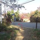 일산배수지 족구장 이미지