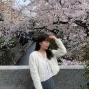 [오사카/교토] 3박 4일 벚꽃 여행 (3) : 기야마치도리 | 판라쿠 | 철학의 길 | 청수사 | 기요미즈데라...
