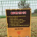 완주군 반려동물 놀이터 이미지
