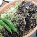 사랑가족한우농장 네이버블로그