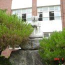 감천초등학교 이미지