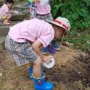 배곧새솔어린이집 이미지