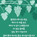 포도나무 - 구로구 개봉로17길 22 | 포도나무