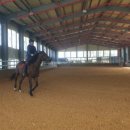 호포승마스쿨 이미지