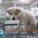 선유서로 피플워치
