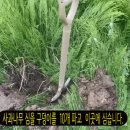 이절농원
