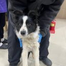 등고개주유소 이미지