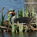 사회복지법인 향산복지회 유락원 | 산서리요양원 사회복지법인향산복지회유락원 요양이 필요한 분들께