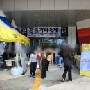 코코 서플라이 | 강릉 커피축제 후기, 위치, 주차, 셔틀버스 꿀팁