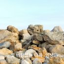 타짜 인생 2탄,,, 후불제 인생 이미지