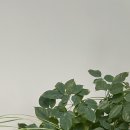 당신내과의원 이미지