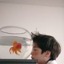 두식이 이미지