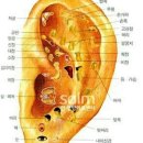 안양 일소리 네이버블로그