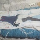 헬로 다키 이미지