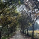 태산목장 이미지