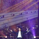 호댄스 콘서트 bnt뉴스