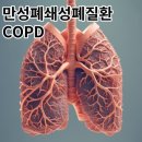 J4499 네이버블로그