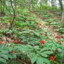 6-2-농 영농조합법인 이미지