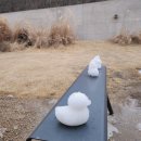 티바두마리치킨 무주점 이미지