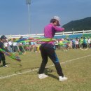 안성시종합운동장 이미지