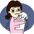 해오름 동물병원 이미지