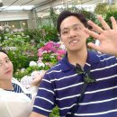 클로버조경 | [제주 태교여행②] 5월, 6월 비오는날& 흐린 날 서귀포 '카멜리아힐' 데이트(수국) | 임산부 태교여행...