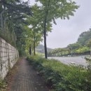 담티고가교 이미지