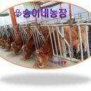 송이네농장 이미지