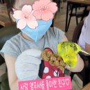 수완볼링장