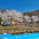 경주힐링캠프 | 경주캠핑장 자연과 역사의 만남, 경주힐링캠프 후기
