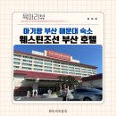 조선비치 | 24개월 아기랑 부산 해운대 여행 숙소 웨스틴조선 디럭스 비치 온돌룸 후기