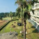 제주더와이 이미지