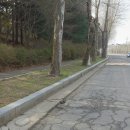 정림빌딩 | 파주 신세계 프리미엄 아울렛 청솔모 사고 후기｜물렸을 때 대처법·파상풍·보험 청구까지