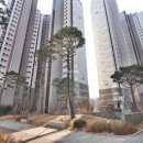 고덕그라시움아파트 네이버블로그