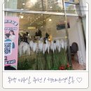 형태은영살롱