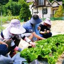 무주펜션 선앤문 이미지