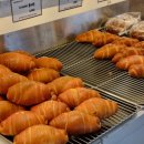 더브래드36.5 운정점 이미지