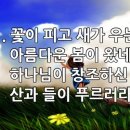 찬송가 476장 꽃이 피고 새가 우는 이미지