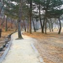 대왕자동차정비 이미지